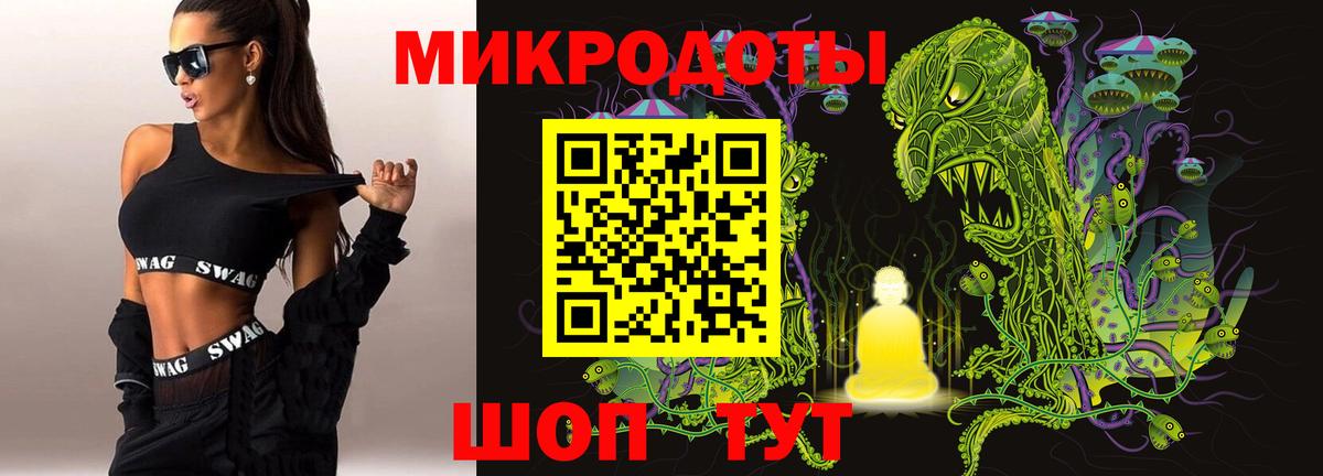 Галлюциногенные грибы Psilocybe Всеволожск