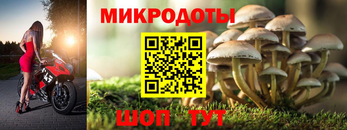 Псилоцибиновые грибы Cubensis  даркнет сайт  Всеволожск  Вход с VPN  Псилоцибиновые грибы Psilocybe 